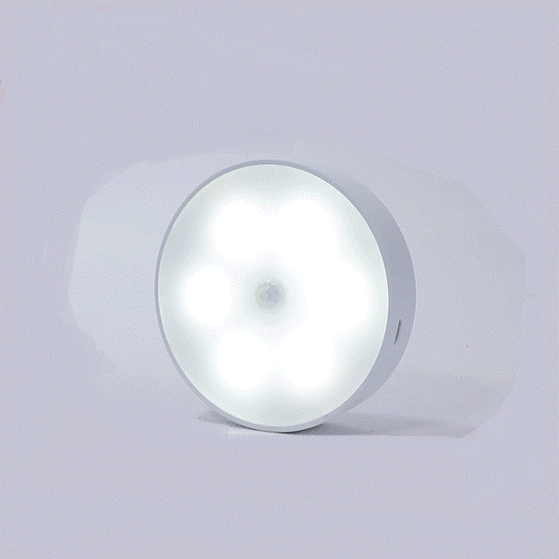 Rechargeable Motion Sensor Light