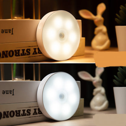 Rechargeable Motion Sensor Light