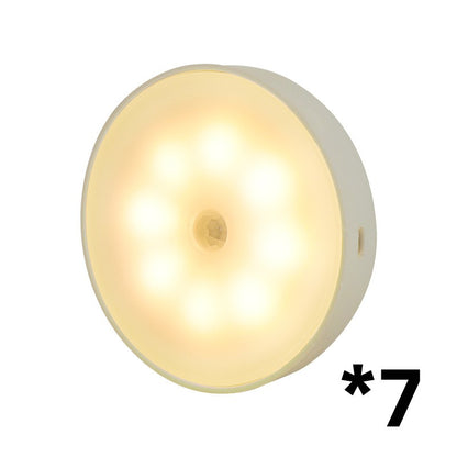 Rechargeable Motion Sensor Light
