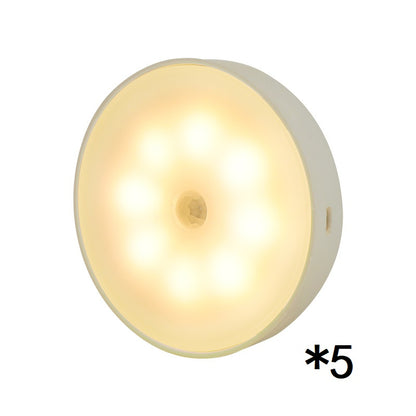 Rechargeable Motion Sensor Light