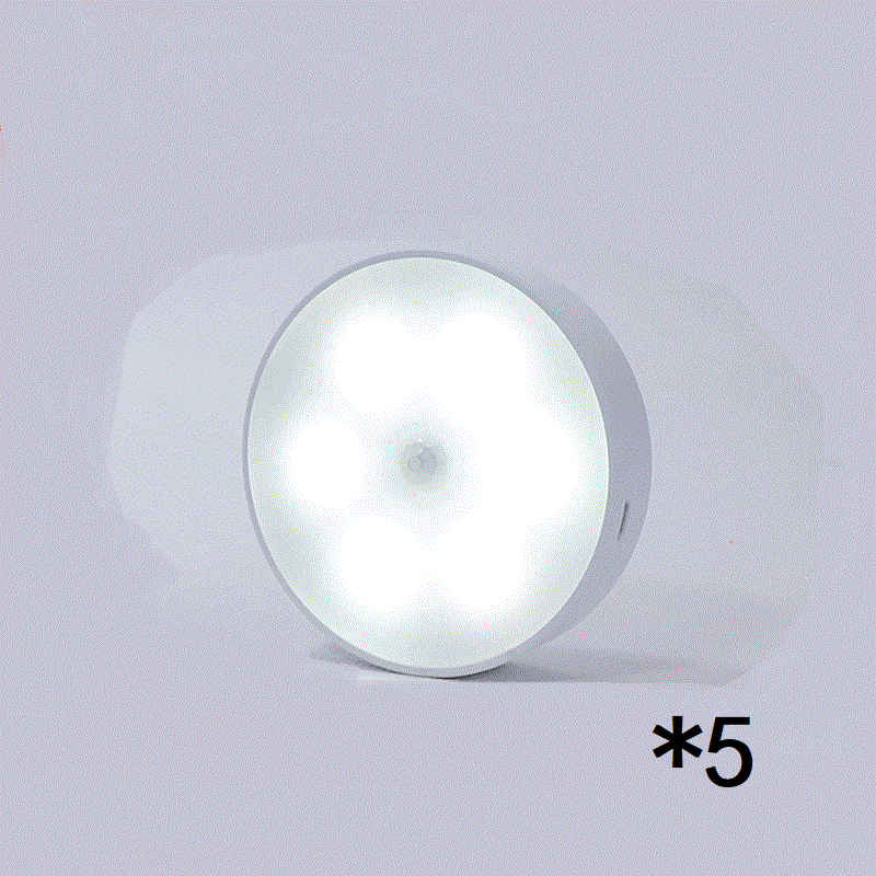Rechargeable Motion Sensor Light
