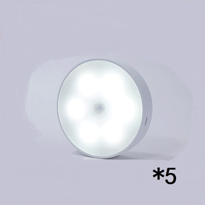 Rechargeable Motion Sensor Light
